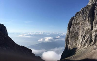 Des Kaisers Krabbeleien