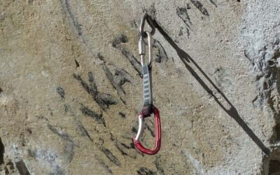 Hakensanierung im Steinwald