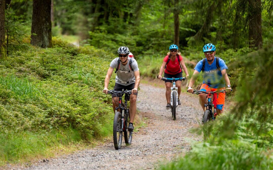 Mountainbike Tour durch den Steinwald